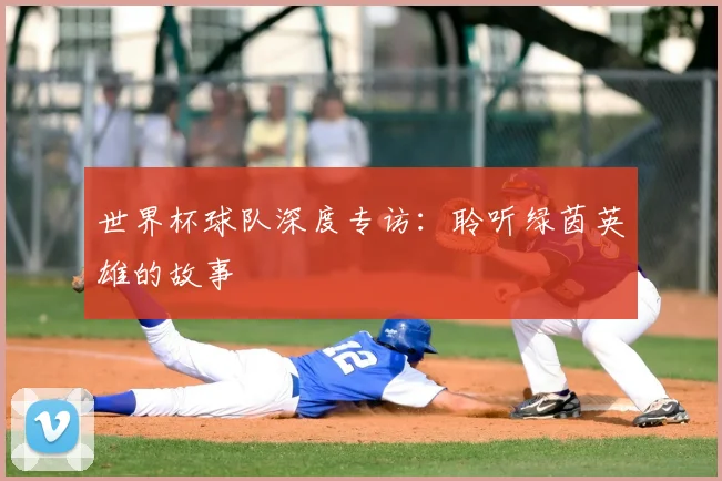 世界杯球队深度专访：聆听绿茵英雄的故事