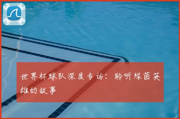 世界杯球队深度专访:聆听绿茵英雄的故事