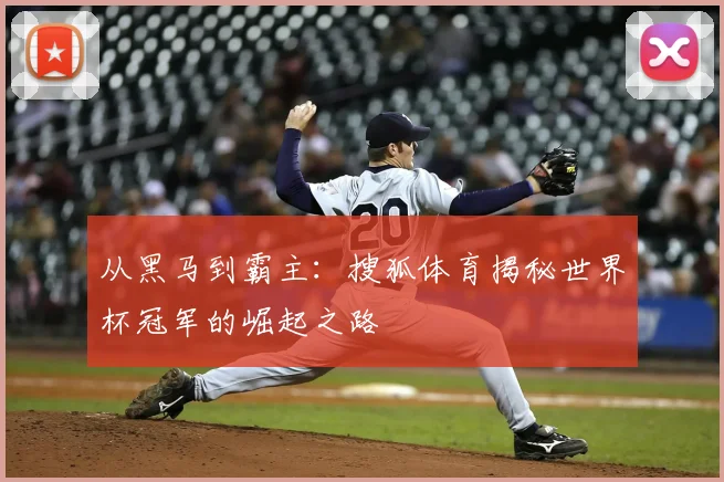 从黑马到霸主:搜狐体育揭秘世界杯冠军的崛起之路