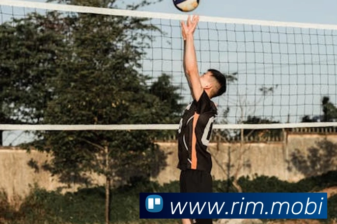 开云账号中心登录入口平台生态图